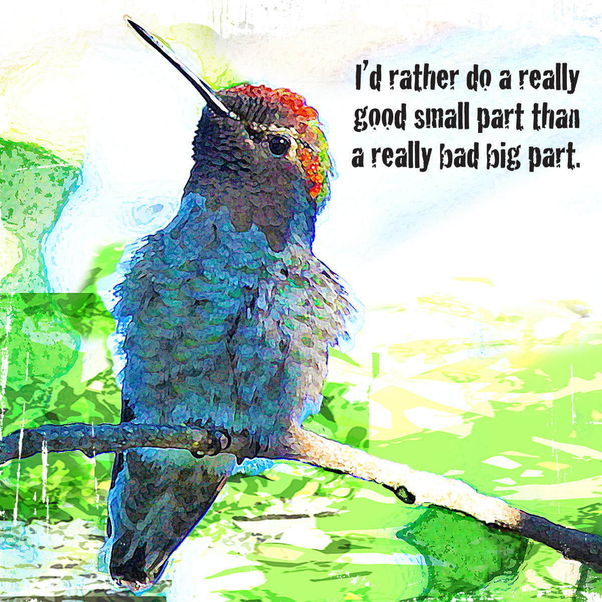 Hummingbird Ilustration