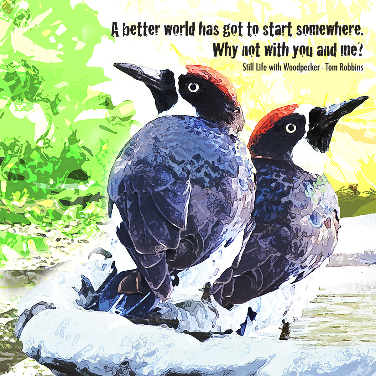Woodpeckers Ilustration