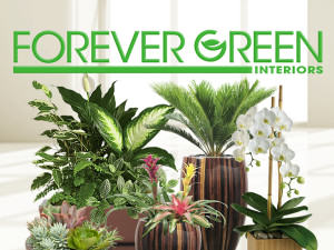 Forever Green Interiors Website