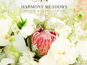 Harmony Meadows Catalog
